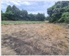  2025Ÿ��1387  �Ӿ߰��