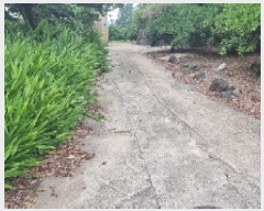  2025Ÿ��1414 ���� �������� ���� 1525-1       ����,â�����