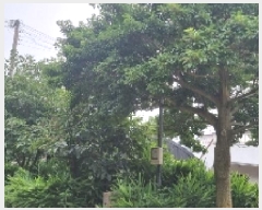  2025Ÿ��1414 ���� �������� ���� 1525-1       ����,â�����