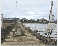  2025Ÿ��1477  �������