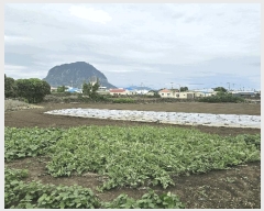  2025Ÿ��1477  �������