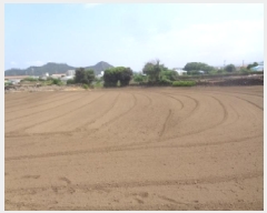  2025Ÿ��1477  �������