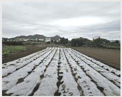  2025Ÿ��1477  �������