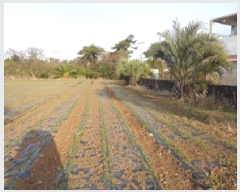  2025Ÿ��1925  �����