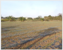  2025Ÿ��1925  �����