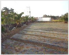  2025Ÿ��1925  �����