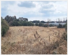  2025Ÿ��6211 ���� �������� ������ ��ǳ�� 1361      ����(��1)���