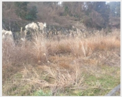  2025Ÿ6402  ֽ ֿ ϸ 3263-18      ()