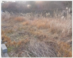  2025Ÿ6402  ֽ ֿ ϸ 3263-18      ()