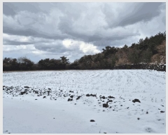  2025Ÿ6709  ֽ  븮 2944      ()