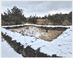  2025Ÿ6709  ֽ  븮 2944      ()