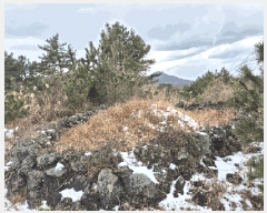  2025Ÿ6709  ֽ  븮 2944      ()