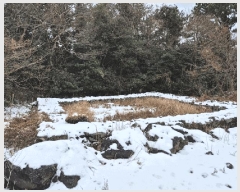  2025Ÿ6709  ֽ  븮 2944      ()