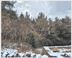  2025Ÿ6709  ֽ  븮 2944      ()