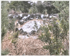  2025Ÿ6709  ֽ  븮 2944      ()