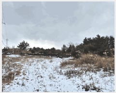  2025Ÿ6709  ֽ  븮 2944      ()