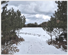  2025Ÿ6709  ֽ  븮 2944      ()