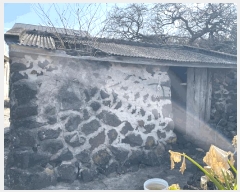  2025Ÿ6983  ֽ Ѹ  196      ()