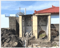  2025Ÿ6983  ֽ Ѹ  196      ()