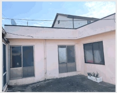  2025Ÿ6983  ֽ Ѹ  196      ()