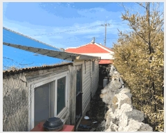  2025Ÿ6983  ֽ Ѹ  196      ()