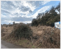  2025Ÿ��7238  �����