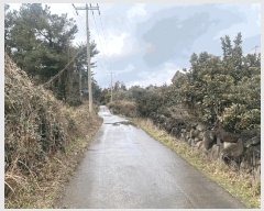  2025Ÿ��7238  �����