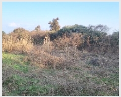  2025Ÿ��7238  �����