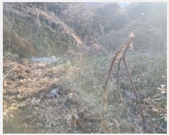  2025Ÿ��7238  �����