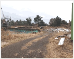  2025Ÿ7474   ȴ  202      (Ӿ)