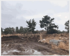  2025Ÿ7474   ȴ  202      (Ӿ)