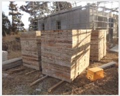  2025Ÿ7474   ȴ  202      (Ӿ)