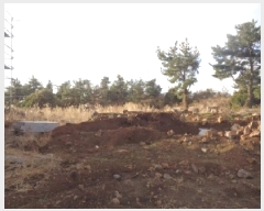  2025Ÿ7474   ȴ  202      (Ӿ)