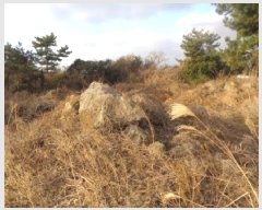  2025Ÿ7474   ȴ  202      (Ӿ)