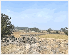  2025Ÿ��7510 ���� ���ֽ� ������ ��ȭ�� 2810      ����(��1)���