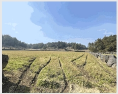  2025Ÿ��7510 ���� ���ֽ� ������ ��ȭ�� 2810      ����(��1)���