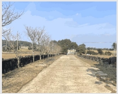  2025Ÿ��7510 ���� ���ֽ� ������ ��ȭ�� 2810      ����(��1)���