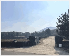  2025Ÿ��7510 ���� ���ֽ� ������ ��ȭ�� 2810      ����(��1)���