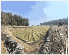  2025Ÿ��7510 ���� ���ֽ� ������ ��ȭ�� 2810      ����(��1)���