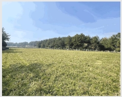  2025Ÿ��7510 ���� ���ֽ� ������ ��ȭ�� 2810      ����(��1)���