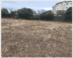  2025Ÿ7528  ֽ ̵ 3057       (1)