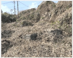  2025Ÿ7572  ֽ ֿ ϸ 606-1      (1)