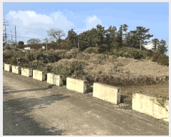  2025Ÿ7572  ֽ ֿ ϸ 606-1      (1)