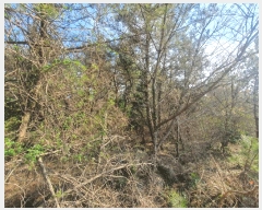  2025Ÿ��7683  �����