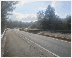  2025Ÿ��7683  �����