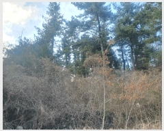  2025Ÿ��7683  �����