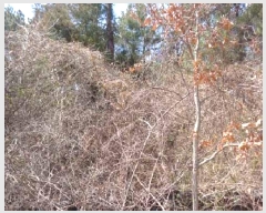  2025Ÿ��7683  �����