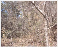  2025Ÿ��7683  �����