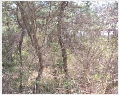  2025Ÿ��7683  �����