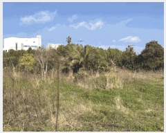  2025Ÿ7691  ֽ ȣ̵ 1348-1       (1)